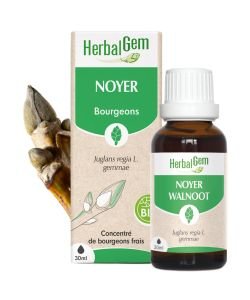 Noyer (Juglans regia) bourgeon BIO, 30 ml